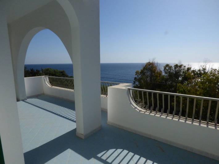 Gîte pour 6 personnes, avec jardin, animaux acceptés à Tricase - 3