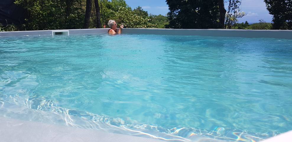 Location de vacances pour 8 personnes, avec piscine ainsi que jardin et terrasse dans Basse-Terre (homonymie) - 4