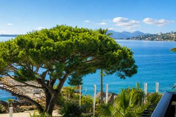 Holiday Rental for 4 People in Juan-les-Pins, Antibes, Photo 3