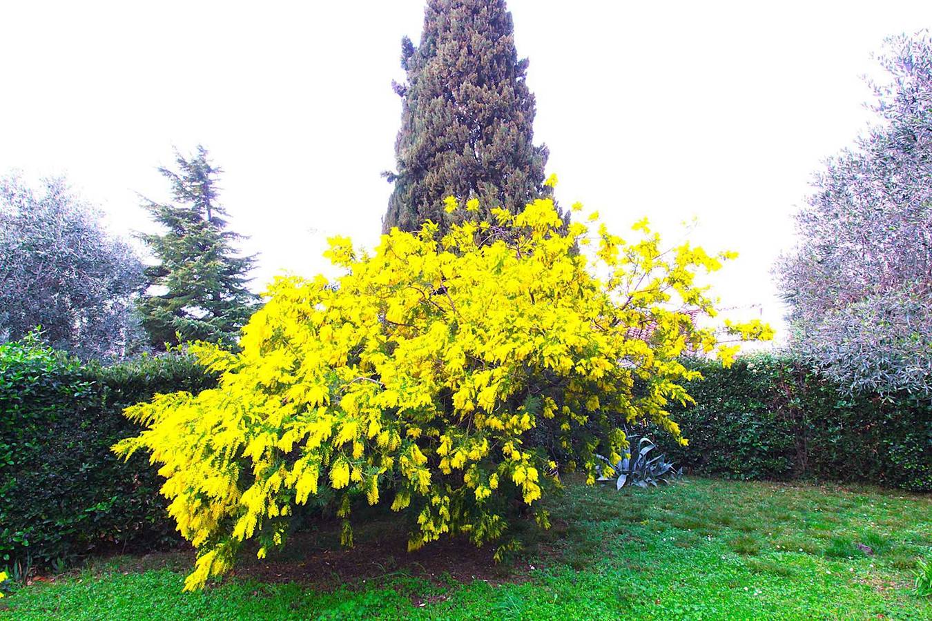 Ganze Ferienwohnung, Ferienwohnung mit Balkon in Crveni Vrh, Umag und Umgebung