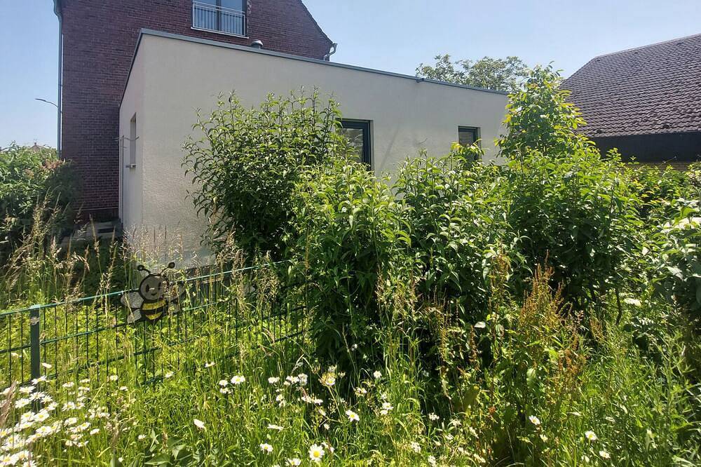 Ganze Wohnung, Vrbo Property in Dormagen, Rhein-Kreis Neuss