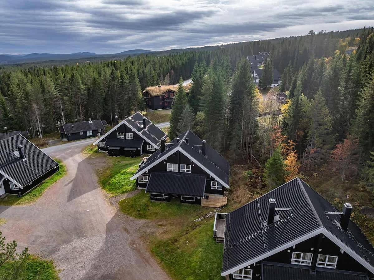 Ab38- Large family cabin on Alpingrenda close to the slopes in Innbygda, Trysil