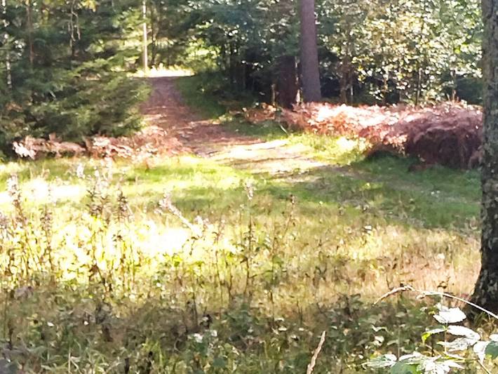 6 Personen Ferienhaus in Ed in Dalsland