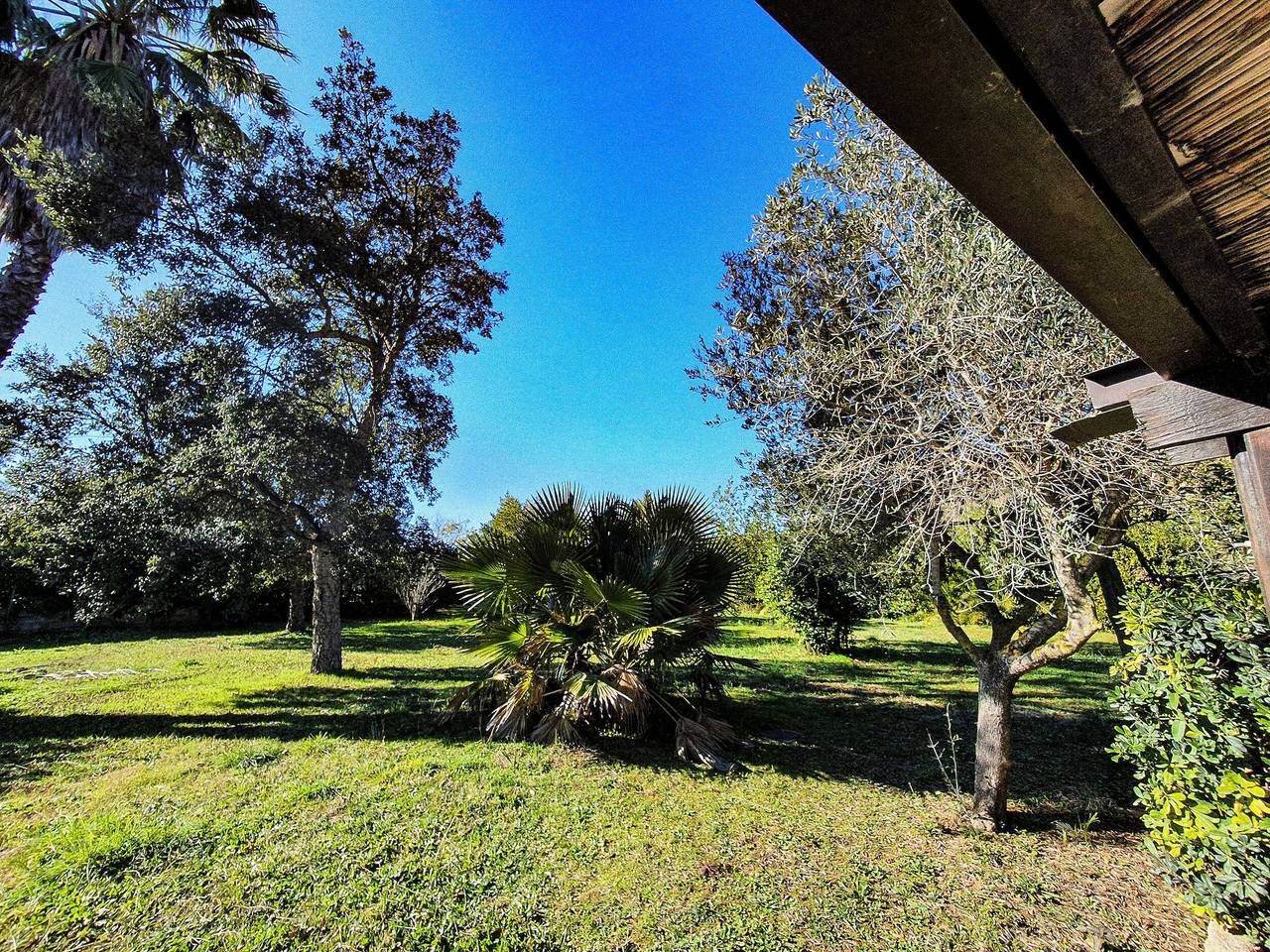'Villetta Baia di Mola' mit Wlan, Klimaanlage und Garten in Cala di Mola, Naregno