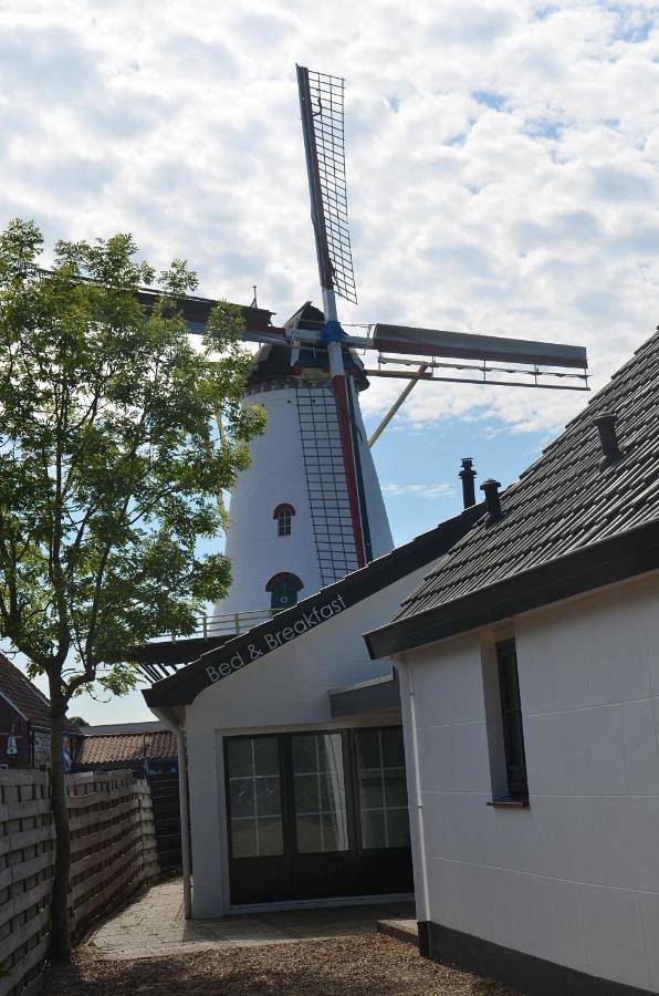 Chambre d’hôte pour 2 personnes, avec Terrasse ainsi que Jardin et Vue à Burgh-Haamstede - 4
