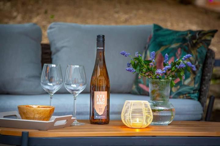 Location de vacances pour 20 personnes, avec piscine et sauna ainsi que jacuzzi et jardin à Bendorf - 4