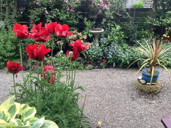 Holiday rental for 4 people, with Terrace and Garden as well as View in Crieff
