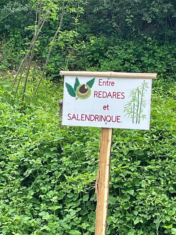 Entre Redares et Salendrinque in Lasalle, Parc national des Cévennes
