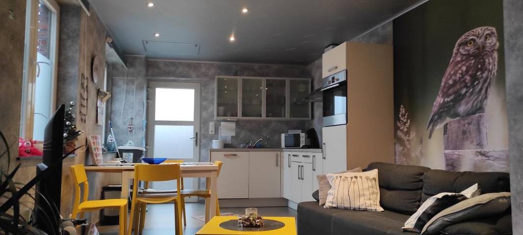 Location de vacances pour 5 personnes, avec terrasse à Frasnes-lez-Anvaing
