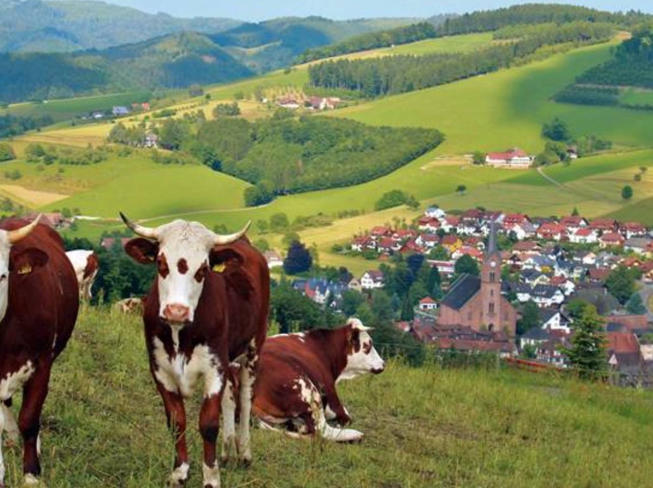 Gasthaus zur Linde - 'Einzelzimmer Holzwurm' mit gemeinsamer Terrasse, gemeinsamem Garten und Wlan in Oberharmersbach, Mittlerer Schwarzwald