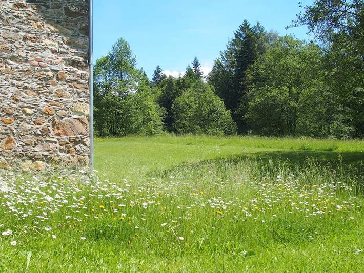 Ferienhaus für 4 Personen, mit Garten und Balkon in Waldmünchen - 2