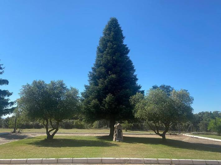 Chalet para 8 personas, con jardín además de vistas y piscina, Se admiten mascotas en Comarca de Soria - 2