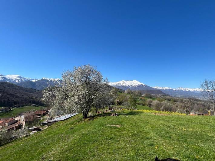 Gîte pour 7 personnes, avec vue à Villanova Mondovì - 3