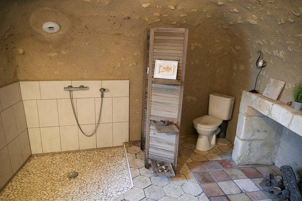 Loft 3 * partly troglo, downtown, parking, garden, superb view, 4/5 pers in Amboise, Tours region