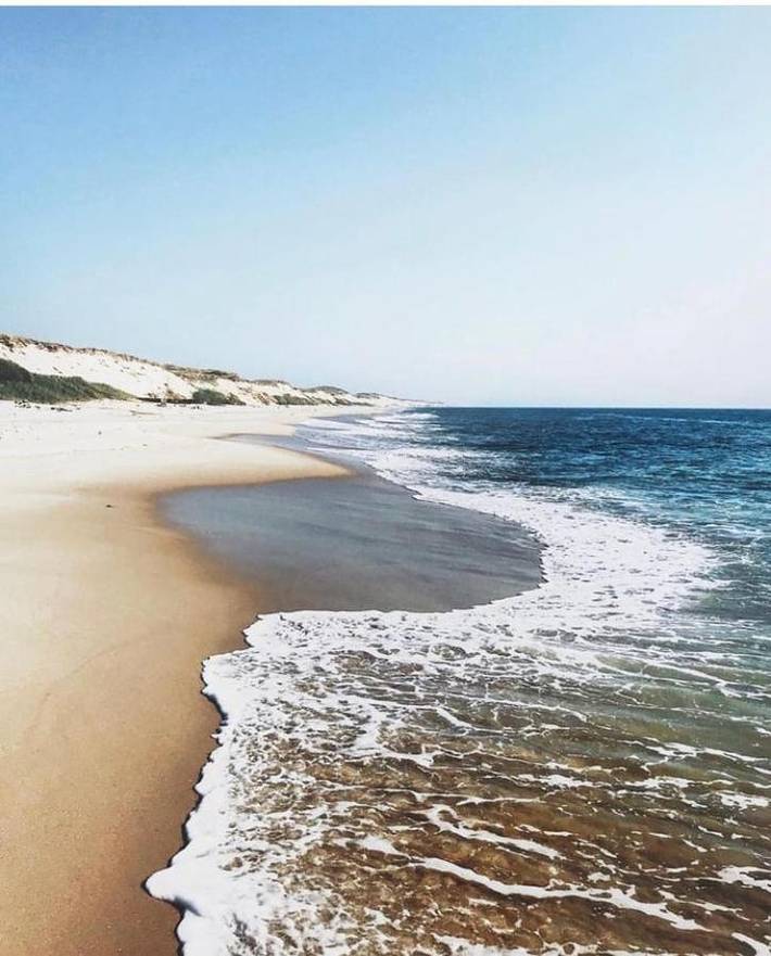 Gîte pour 4 personnes, animaux acceptés à Lesparre-Médoc - 3