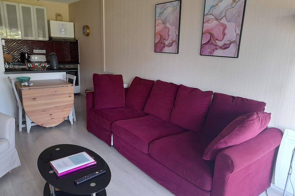 Apartamento entero, 500 m from Erromardie beach, very nice apartment of 40 m². in San Juan de Luz, Region de Bayona