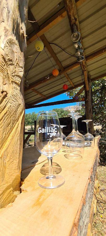 Location de vacances pour 12 personnes, avec vue ainsi que piscine et jardin, animaux acceptés à Parisot