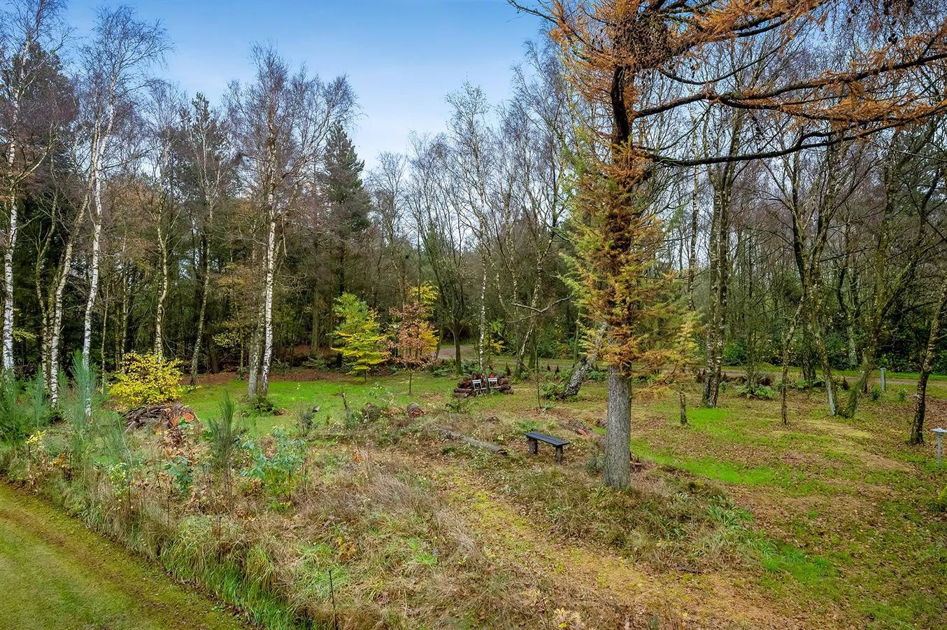 Pet friendly home in Tim with Wifi in Tim, Ringkøbing-Skjern