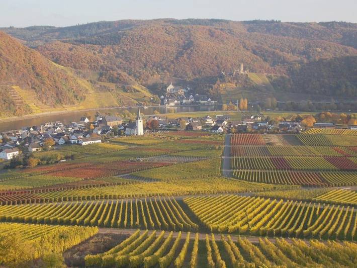 Ferienwohnung für 3 Personen, mit Balkon und Terrasse sowie Garten und Ausblick in Ellenz-Poltersdorf - 2