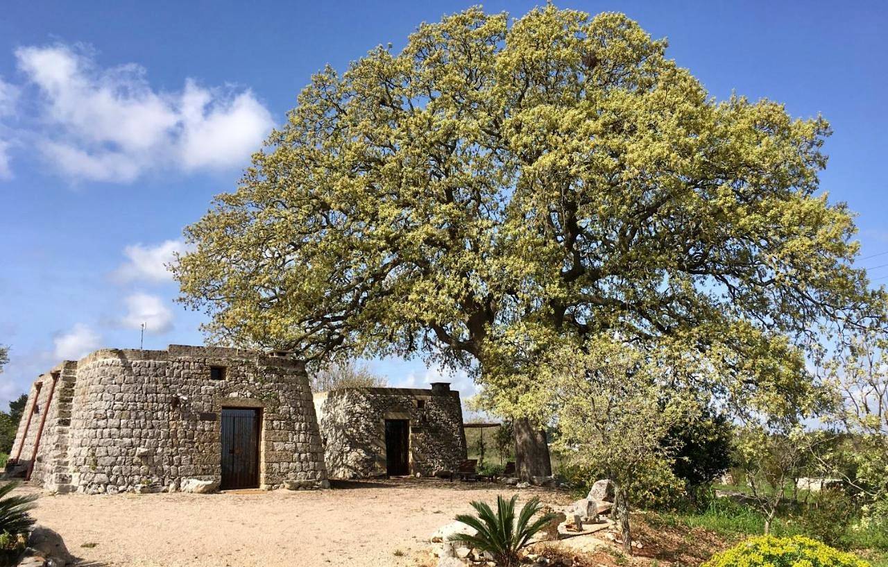 Monolocale intero, Agriturismo Le Fornelle in Tricase, Provincia di Lecce