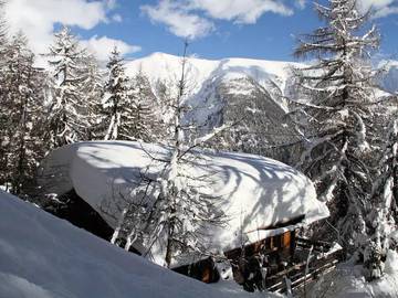 Chalet für 6 Personen in Bellwald, Goms, Bild 3
