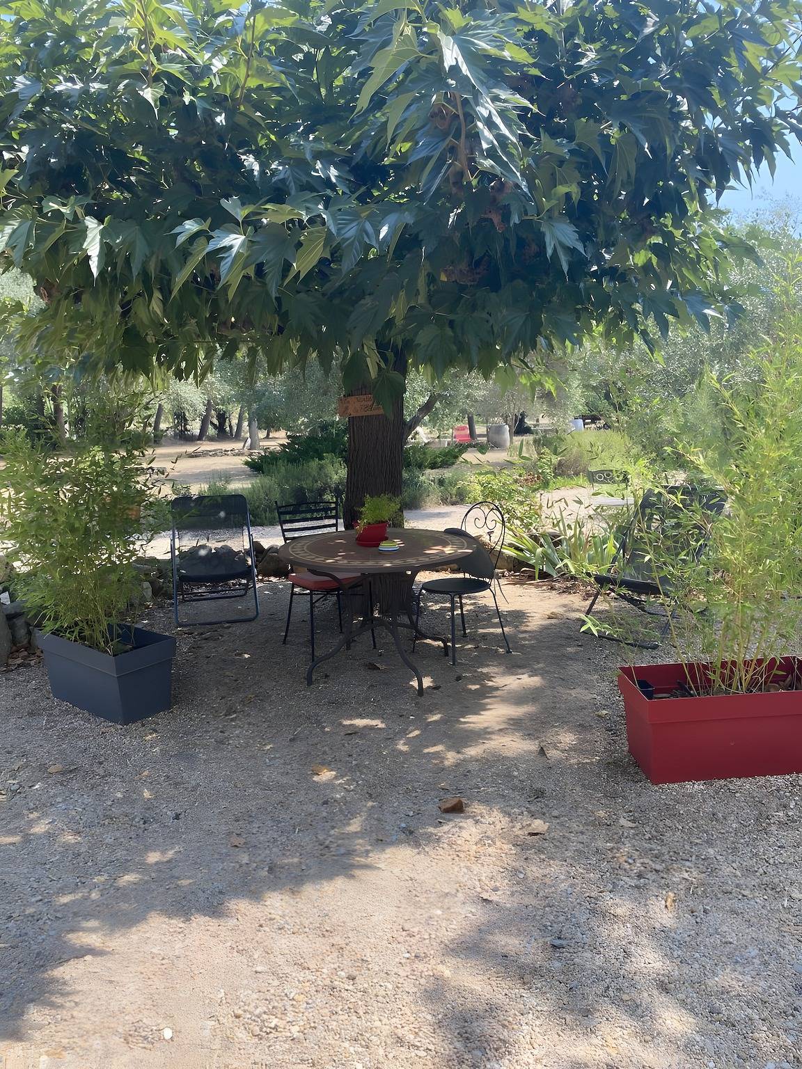 Gîte l'écluse - gîtes domaine la noria in Cazouls-lès-Béziers, Côte méditerranéenne (France)