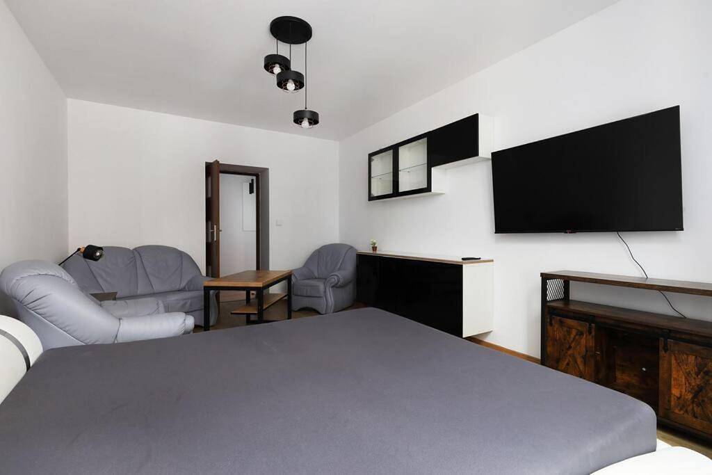Cały apartament, One-Bedroom Apartment in Będzin, Śląsk