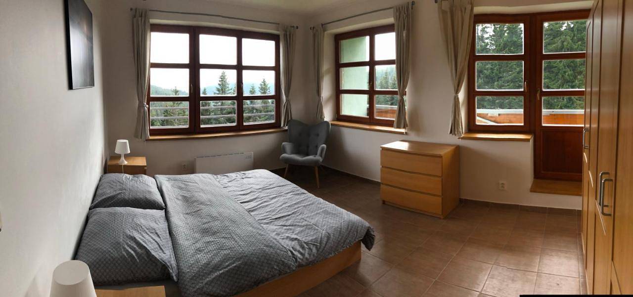 Ganze Wohnung, Three-Bedroom Apartment in Černý Důl, Region Trautenau