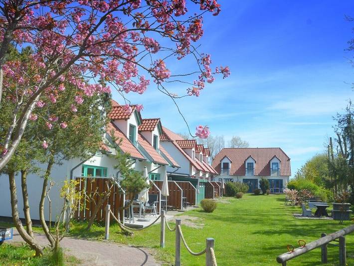 Ferienhaus für 5 Personen, mit Terrasse auf Hiddensee - 3