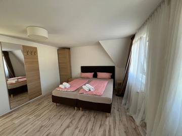Chambre d’hôte pour 2 personnes, avec terrasse, animaux acceptés dans Rudesheim Am Rhein