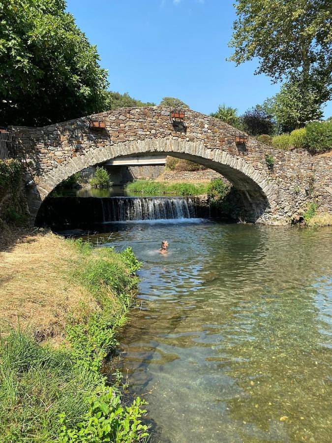 Location de vacances pour 8 personnes, animaux acceptés dans Saint-Geniès-de-Varensal