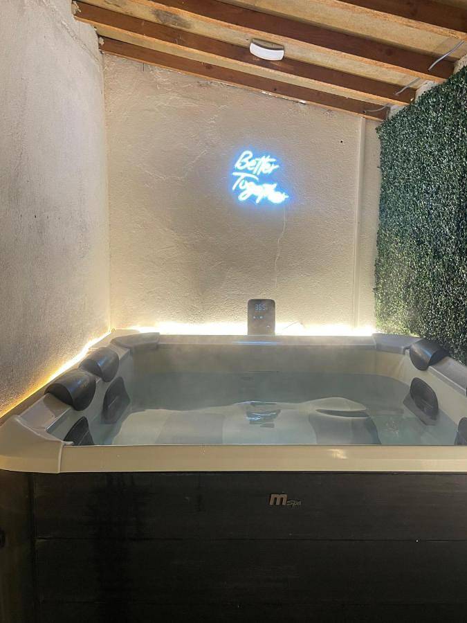 Location de vacances pour 2 personnes, avec jacuzzi et jardin à Labruguière - 3