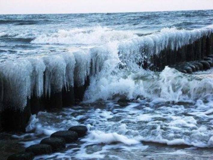 Ferienpark für 5 Personen, mit Terrasse und Garten, kinderfreundlich in Koserow - 2