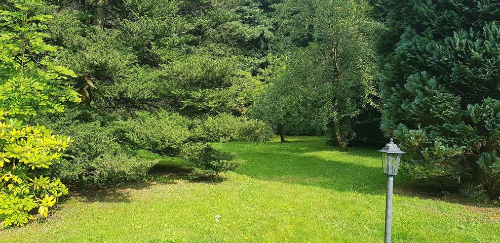 Hütte für 4 Personen, mit Garten im Harz - 2