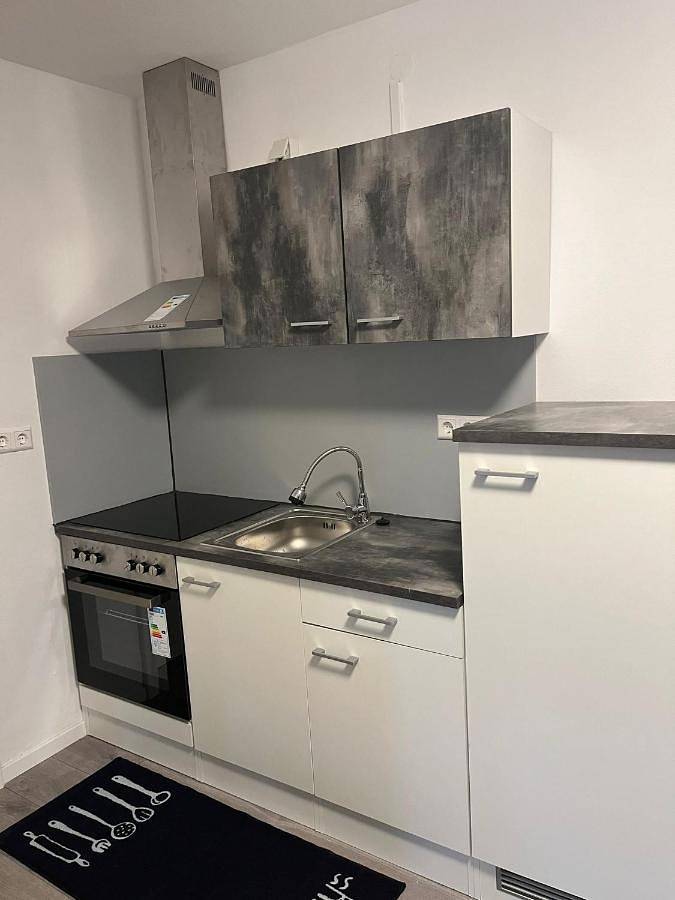 Gîte pour 4 personnes, avec jardin, adapté aux familles dans Landau in der Pfalz - 4