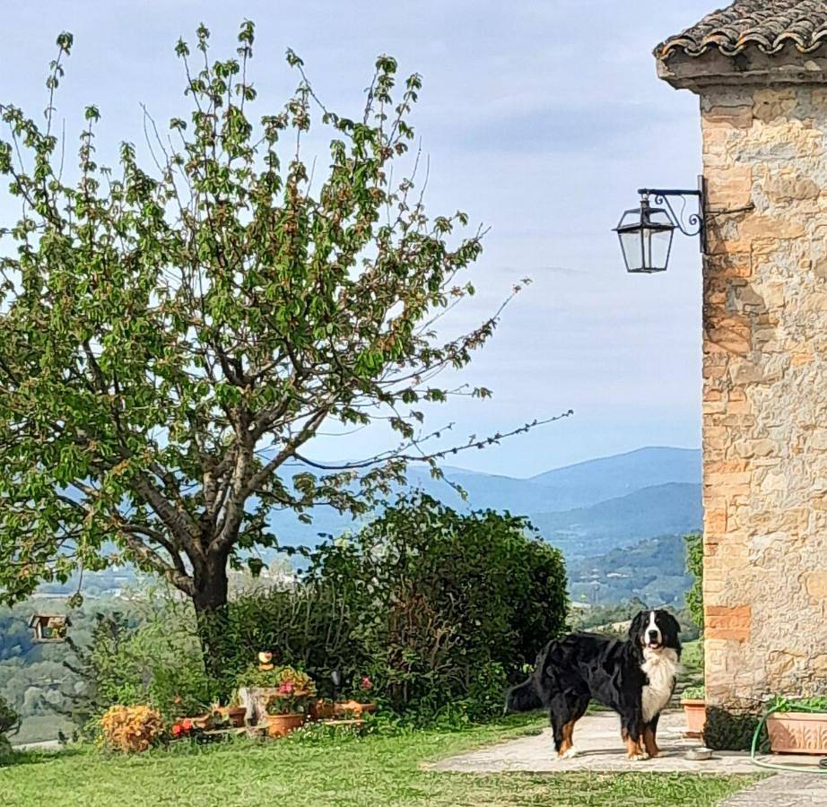 Agriturismo Monterosello in Città di Castello (Italia), Valtiberina