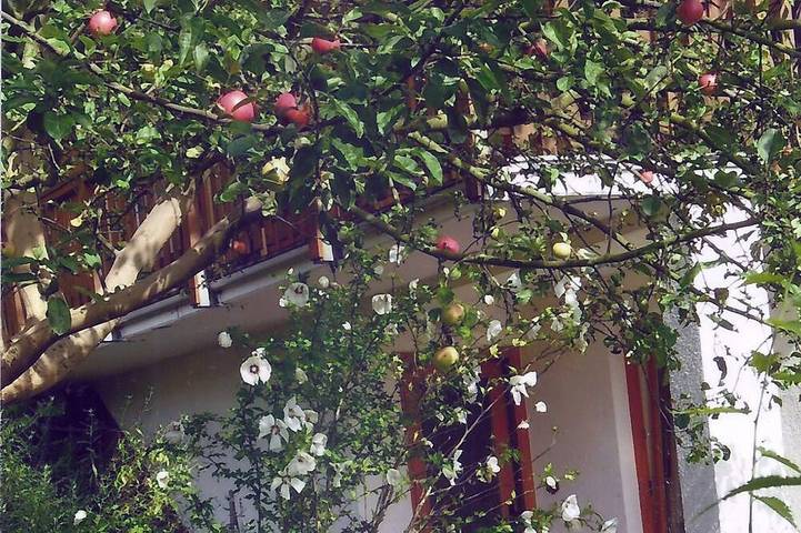 Ferienwohnung für 2 Personen, mit Garten in Chemnitz