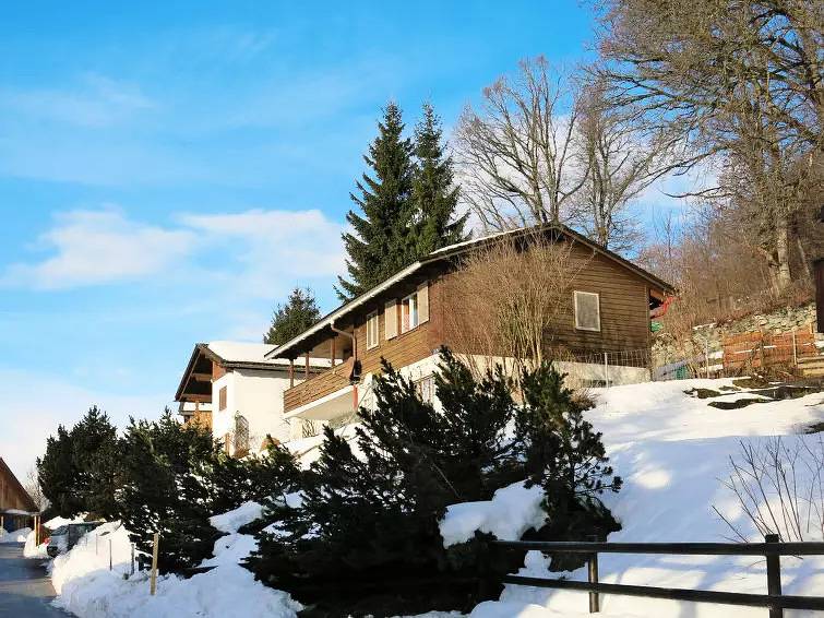 Ganze Wohnung, 4 Pièces 5 Personnes in Ruschein, Alpenarena