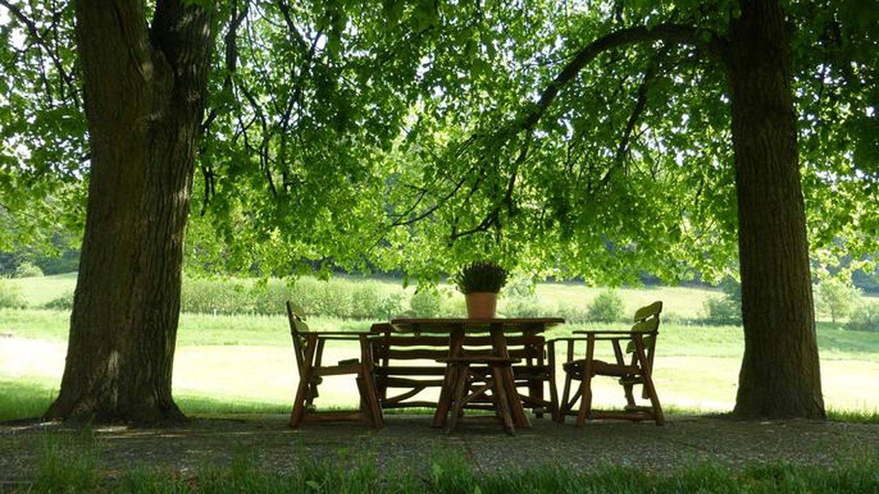 Ferienhaus für 8 Personen (150 m²) in Mossautal in Mossautal, Odenwaldkreis