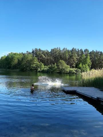 Wohnwagen für 4 Personen in Garden (Lohmen), Lohmen, Bild 3