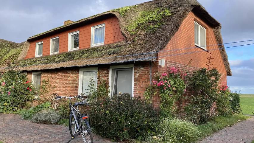 Ferienhaus für 5 Personen, mit Garten in Pellworm - 4