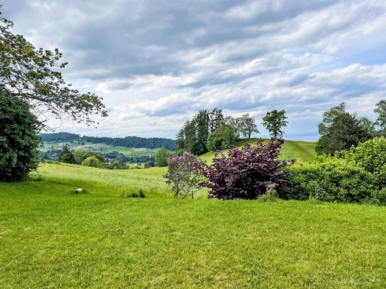 See in Sicht in Wolfhalden, Vorderland