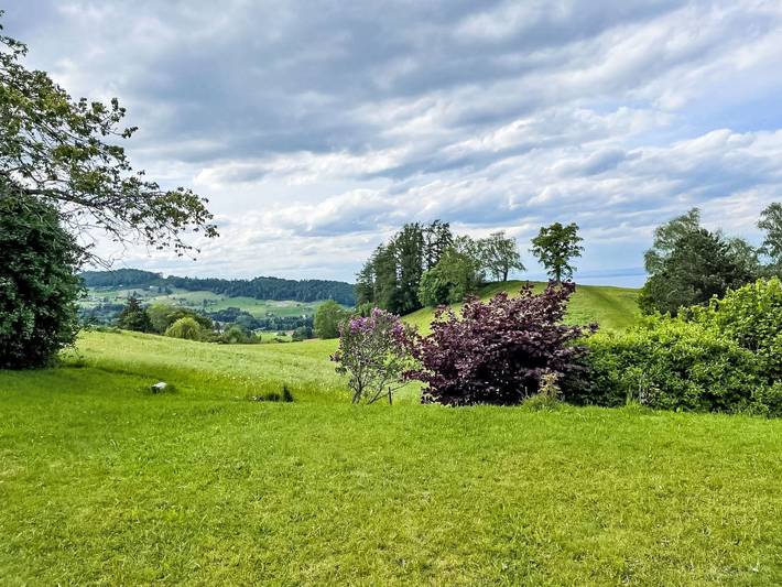 See in Sicht in Wolfhalden, Vorderland