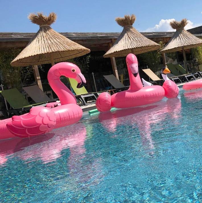 Hôtel pour 5 personnes, avec jardin et piscine, animaux acceptés à Richerenches - 2