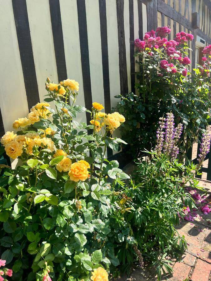 Location de vacances pour 5 personnes, avec jardin à Gruchet-Saint-Siméon - 3