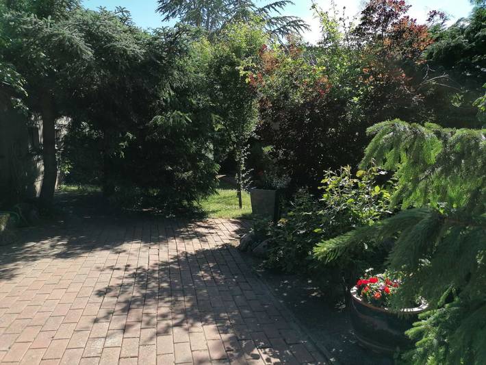 Ganze Ferienwohnung, Ferienhaus Peter Objekt-Id 120750 in Möllenhagen, Müritz