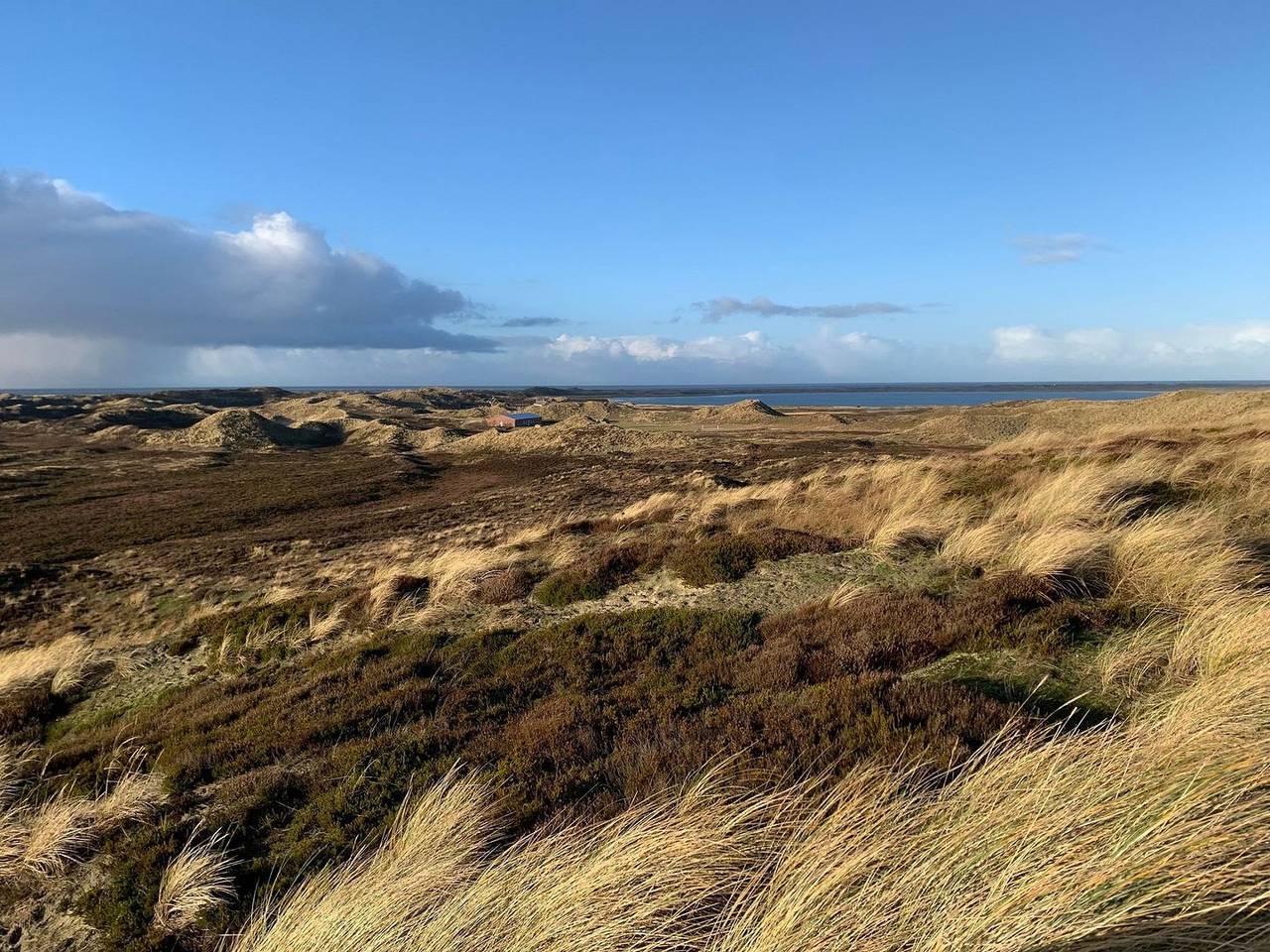 Ganze Wohnung, Apartment Lieselotte direkte am Watt in Rantum auf Sylt in Rantum, Sylt (Gemeinde)