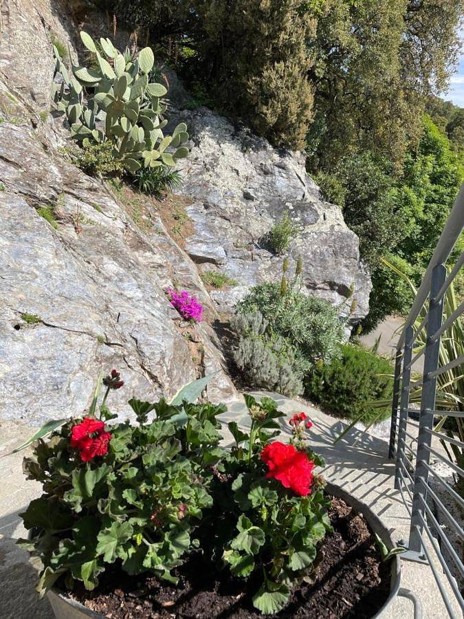 Location de vacances pour 8 personnes, avec vue et jardin à Valle-di-Campoloro - 4