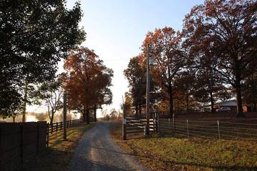 Camping for 6 Guests in Ouachita National Forest, Arkansas, Picture 1