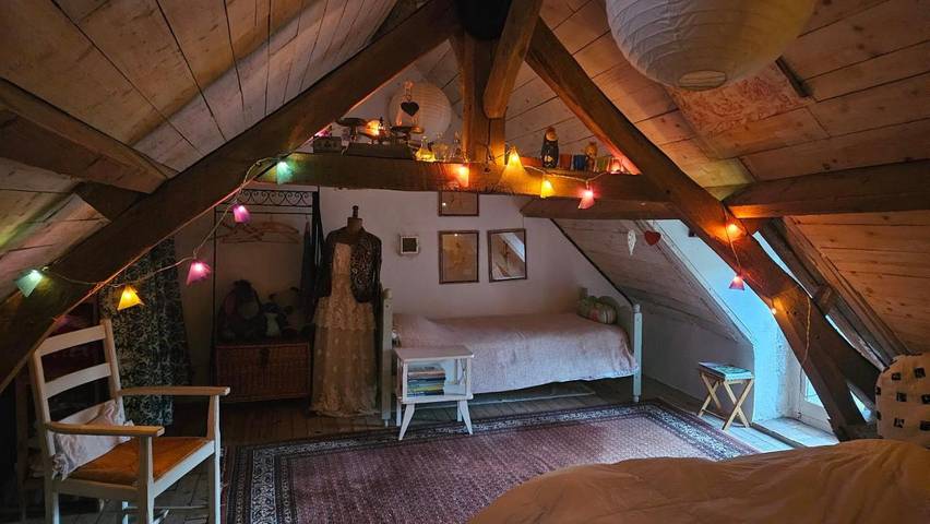 Chambre d’hôte pour 3 personnes, avec jardin, animaux acceptés dans Saint-Amand-Montrond - 4